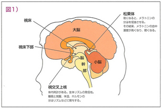 teisei1.jpg